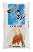 륳ȥѥå397